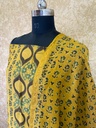 Ajrakh Chanderi Silk Cotton Top And Dupatta 4246
