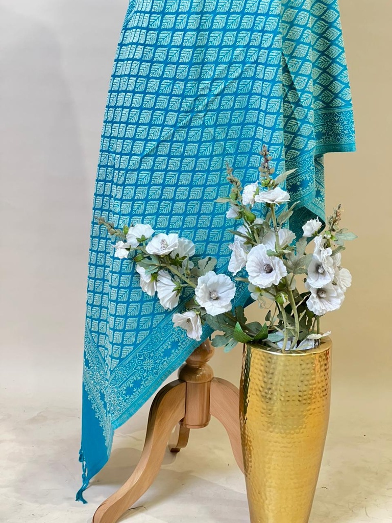 Pashmina Stoles 4780