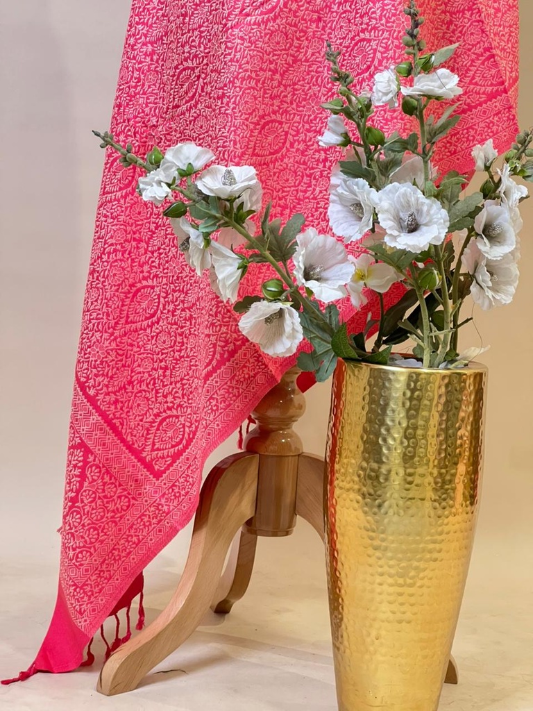 Pashmina Stoles 4780