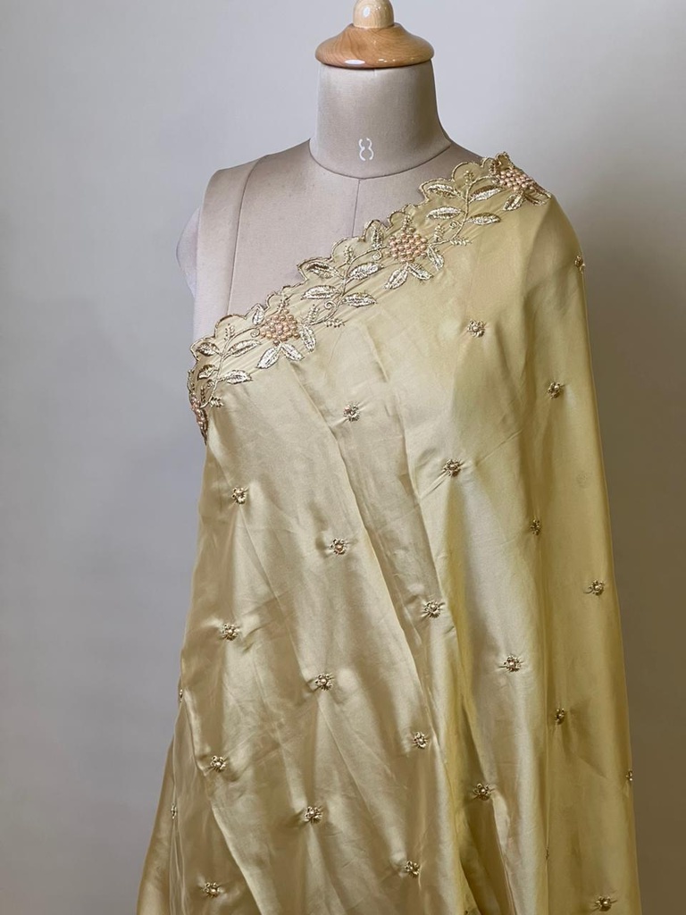 Organza Dupatta 4780 