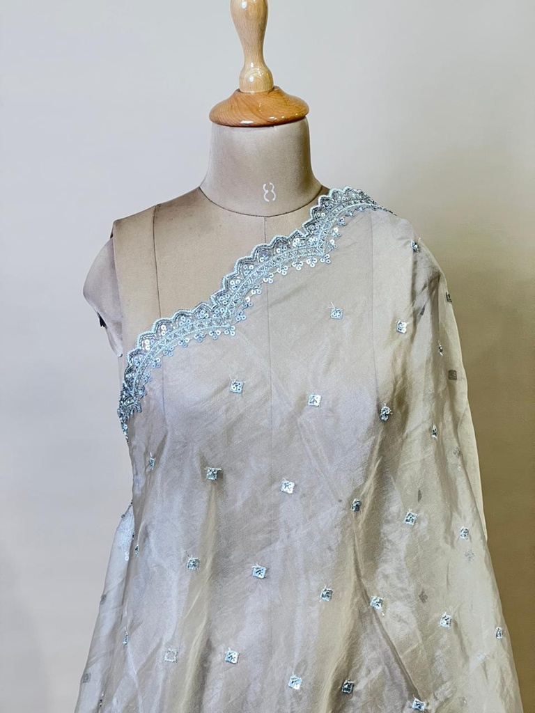 Organza Cutdana Dupatta 4780