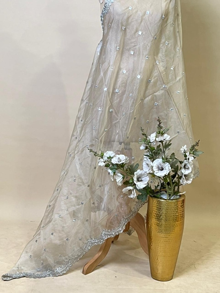 Organza Cutdana Dupatta 4780