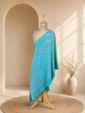 Pashmina Stoles 4780