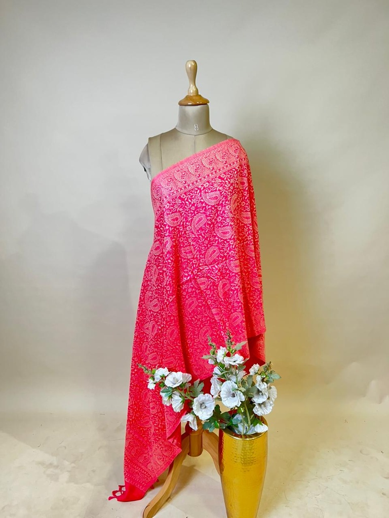 Pashmina Stoles 4780