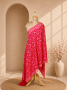 Pashmina Stoles 4780