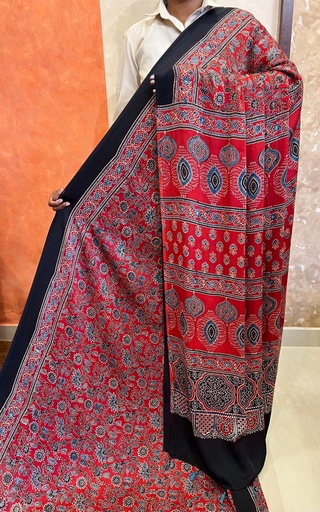 [SAKAR] Premium Ajrakh Modal Saree 5033