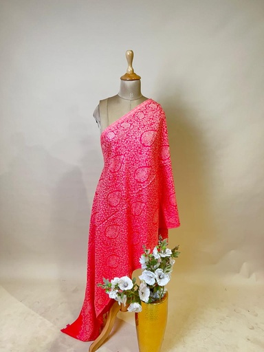 [DUAS1450] Pashmina Stoles 4780