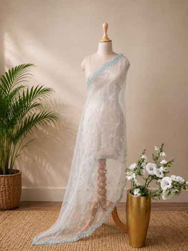 [DUAS1750] Organza Cutdana Dupatta 4780